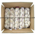 Chinese Normal White Garlic, Pure White Garlic Price